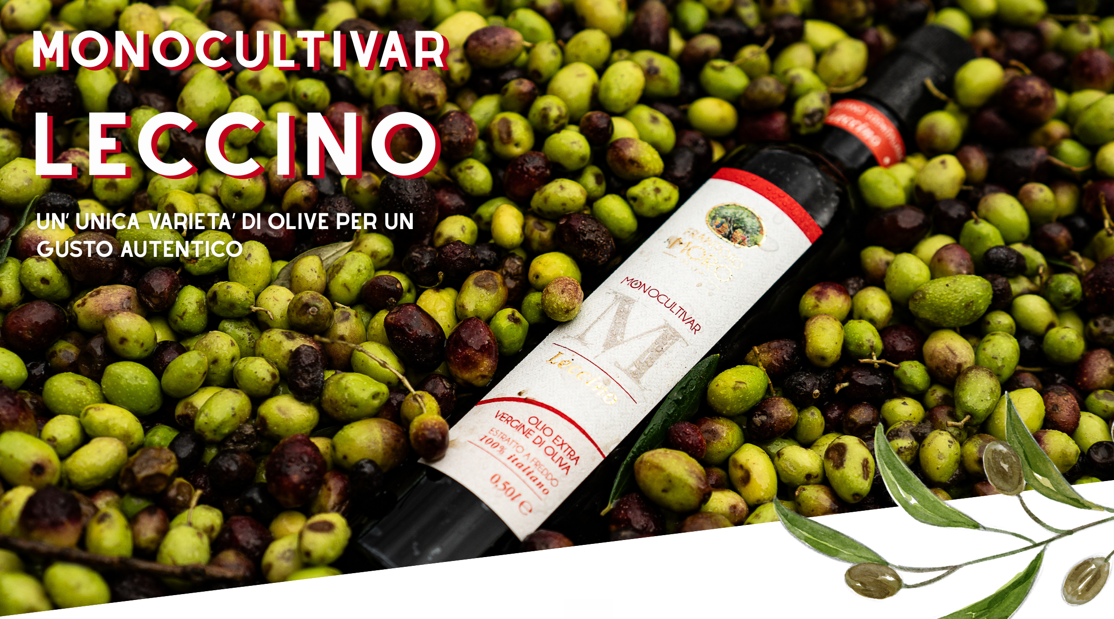 olio-extravergine-oliomoro